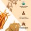 Rooted Active Naturals: Cordyceps Militaris Mushroom Extract  (60 caps, 500 mg) |Energy, Stamina, Supports Testosterone, Virility, Lung health |USDA Organic, 20% Beta Glucans
