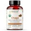 Rooted Active Naturals: Siberian Chaga mushroom Extract (90 Caps, 500 mg)...