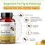 Rooted Active Naturals: Maca Root Extract with Reishi Mushroom (90 Veg Caps, 750 mg) -Stamina, Virility, Hormonal support| Imported from Peru, Certified Organic, Gelatinised
