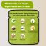 Rooted Active Naturals: Plant Protein powder, 24gm protein from Pea, Super Mushrooms, Brown Rice, Spirulina & | Probiotics, Enzymes, Super mushrooms |500 gm | Choclate flavour (USA FDA Registered Facility)