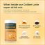 Rooted Active Naturals: Golden Latte Turmeric  Mix, 500 gm | with Lion's Mane Mushroom, Nano curcumin, MCT powder