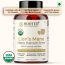 Rooted Active Naturals: Lions Mane mushroom Extract  ( 60 Veg Caps, 500 mg) | Memory, Focus, Brain Powder & Nerve Health. USDA Organic, 38% Beta Glucans