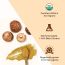 Rooted Active Naturals: Shiitake mushroom Extract Powder (60 g) |Cholesterol, Heart health, Immunity. USDA Organic, 40% Beta Glucans