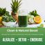 Rooted Active Naturals: Superfood Greens, Mushrooms & Herbs blend| (250 g), 22 Daily Greens & Fruits, 5 Mushrooms, Probiotics & Enzymes | Rich in vitamins, minerals, iron, fiber & antioxidants