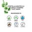 Love Earth: Centella Asiatica & Licorice Foaming Face Wash White