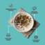 Gytree: The Total Strength Support Protein Powder (Cafe Mocha) (500gms)