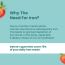 Gytree: The Total Iron Support Gummies