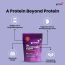Gytree: The Total Strength Support Chocolate Protein (500gms)