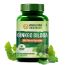 Vlado's Himalayan Organics: Ginkgo Biloba for Healthy Brain Functions | 500Mg | 60 Veg Capsules