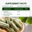 Vlado's Himalayan Organics: Ginkgo Biloba for Healthy Brain Functions | 500Mg | 60 Veg Capsules