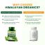Vlado's Himalayan Organics: Ginkgo Biloba for Healthy Brain Functions | 500Mg | 60 Veg Capsules
