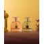 Carlton London: Combo Women Blush + Lush Perfume - 100ml Each