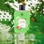 Carlton London: Shower Gel Coconut & Green Tea Soft & Fresh Body Wash-250ml