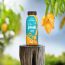 Phab: Protein Milkshake Mango Magic - Pack of 6 x 200ml