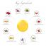RAS Luxury Oils: Radiance Beauty-Boosting Day Face Elixir - 6ml