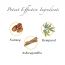 RAS Luxury Oils: Renew Muscle Relaxant & Pain Relief Body Oil - 100ml