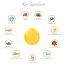 RAS Luxury Oils: Revival Rejuvenating Night Face Elixir - 15ml