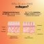 SETU: Skin: Youthful Collagen Powder - 30 Lemon Flavoured Sachets