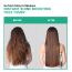 Thriveco: Frizz Tamer Smoothening Hair Oil, 30ml