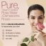 SETU: Organic Rose Water/Gulab Jal Spray -100 ML(Pack of 3) |Premium Face Mist, Toner for Brighter and Hydrated Skin |Oil-Control & Makeup remover| Zero alcochol, Paraben free and No artificial flavor