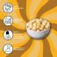 Flyberry Gourmet: Macadamia Nuts 100g | Imported From Australia| Boosts Immunity and Improves Stamina | Rich in Vitamins, Minerals, Fiber, Antioxidants and Healthy fats
