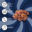 Flyberry Gourmet: Pecan Nuts 250g | Imported From US | 100% Natural | Rich in Vitamin E, Zinc and Magnesium