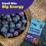 Beyond Food: Energy Bites - Fresh Blueberry (Pack of 25)