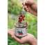 Honey and Spice: Berries Soaked in Honey 250gm