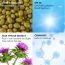 Conscious Chemist: Sun Drink Hybrid Gel Sunscreen with High UVA & UVB Protection, For Lightweight Dewy Finish, Ceramide & Antioxidant Blend With Spf50 Pa++++ (50g)
