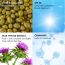 Conscious Chemist: Unwind Sun Drink Gel Spf 50 Pa++++ Sunscreen | Fragrance-Free, Water Resistant, Non-Greasy & Uva/Uvb Protection (50g)