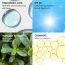 Conscious Chemist: Clear Shield Transparent Mattifying Sunscreen SPF30 PA++ UVA/UVB With Hyaluronic Acid (50g)