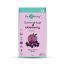 The Co Being: Elderberry Gummies - 60 Gummies