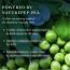 Viah: Rejuvenating & Corrective Serum