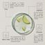 Truly Into: Clean Slate Refreshing Daily Cleanser