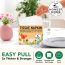 The Honest Home Company: Tissue Paper Napkin Towels | 200 Napkins (4 Boxes)