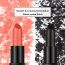 BarryM: Ultimate Icons Lip Paint Black