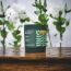 Puretive: Serene Collection | Set of 4 Mini Candles