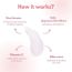 ClayCo.: Rice & Sake Sleep Mask 50 Ml | Face Mask For Glowing Skin | Night Cream For Glass skin