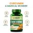 Vlado's Himalayan Organics: Vlado's Himalayan Organics Curcumin With Biopiperine 1500mg Tablets With 95% Curcuminoids Supplements For Better Absorption | Good For Skin & Joint pains - 90 Veg Tablets