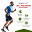 Vlado's Himalayan Organics: Vlado's Himalayan Organics Chelated Iron with Vitamin C Supplement - 100 Veg Tablets