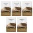 SKIN1004: Madagascar Centella Watergel Sheet Ampoule Mask 25Ml Pack Of 5