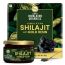 Vlado's Himalayan Organics: Shilajit Gold Resin - 25g | Contains 24 Carat Gold | 100% Ayurvedic | Pure and Natural Shilajeet | Helps to Boost Immunity, Energy, Strength, Stamina, and Overall Health - 25G