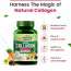 Vlado's Himalayan Organics: Vegan Collagen 2000Mg With Biotin And Vitamin C | Good For Glowing Skin | Healthy Hair And Nail - 100 Veg Tablets