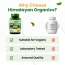 Vlado's Himalayan Organics: Zinc Citrate | Support Healthy Immune Function | Improve Iron Absorption | Antioxidant Support - 120 Veg Capsules