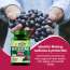 Vlado's Himalayan Organics: Resveratrol 255mg with Grape Seed Extract Supplement | Support Heart And Skin Health | Powerful Anti-oxidant for Anti-Ageing - 60 Veg Capsules