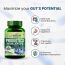 Vlado's Himalayan Organics: Probiotics Supplement 50 Billion CFU with Prebiotics 150mg for Digestion, Gut Health & Immunity - 60 Veg Capsules