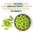Vlado's Himalayan Organics: Vitamin C 1000mg Tablets from Amla Extracts | Immunity, Antioxidant & Skin Care | 120 Veg Tablets