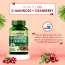 Vlado's Himalayan Organics: D-MANNOSE + CRANBERRY Antioxidant Rich Supplement for Kidney Health & Urinary Tract Infection - 90 Tablets