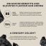 Wellbeing Nutrition: Pure & Original Himalayan Shilajit Resin 10g for Strength, Stamina & Performance | Lab Tested