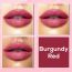 Jaquline USA: Color Me Matte Liquid Lipstick 5ml Burgundy Red